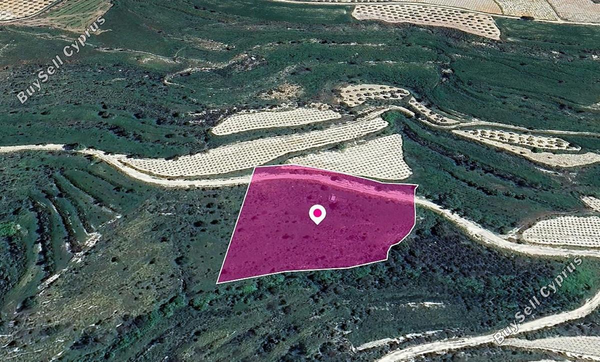 land for sale koili paphos 1183615 image 14889928