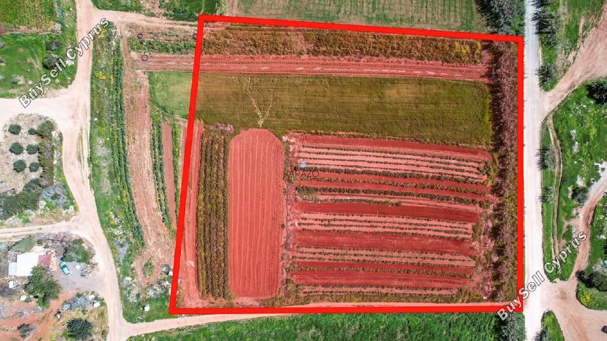 land for sale ormideia larnaca 1311615 image 5638997