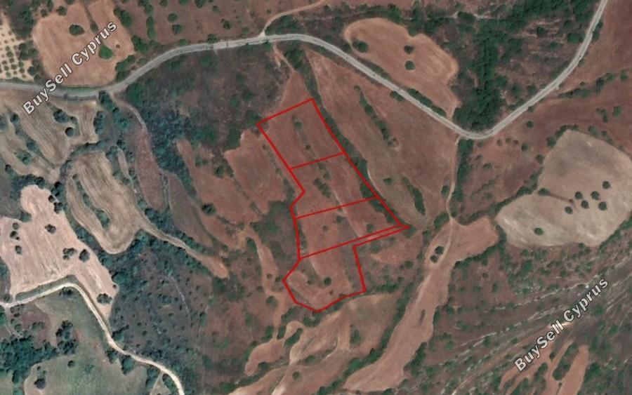 land for sale kritou tera paphos 1355715 image 15579415