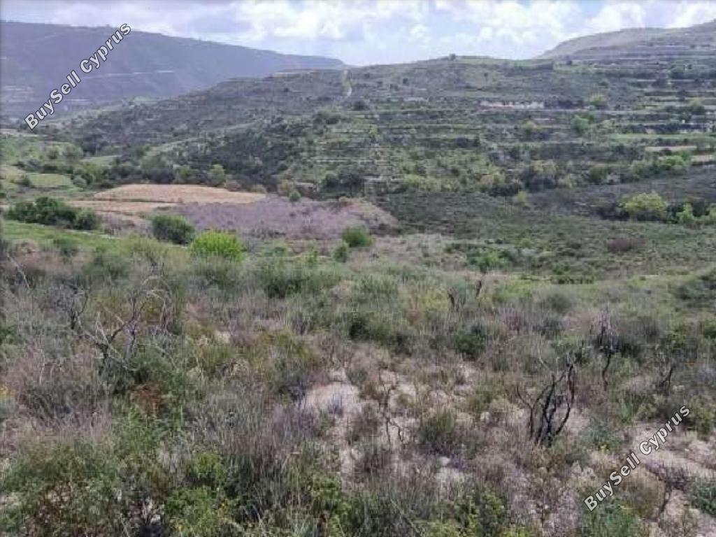 land for sale pachna limassol 1362815 image 15599821