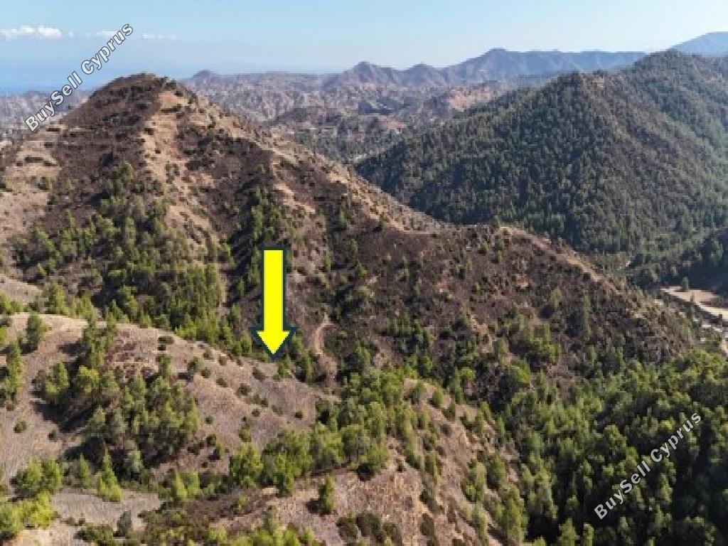 land for sale pigenia nicosia 945815 image 17103040