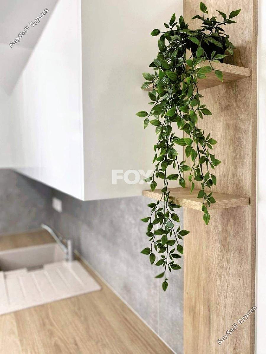 studio office for rent petrou kai pavlou limassol 1522815 image 17072364