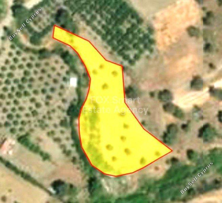 land for sale lythrodontas nicosia 1152915 image 5163741