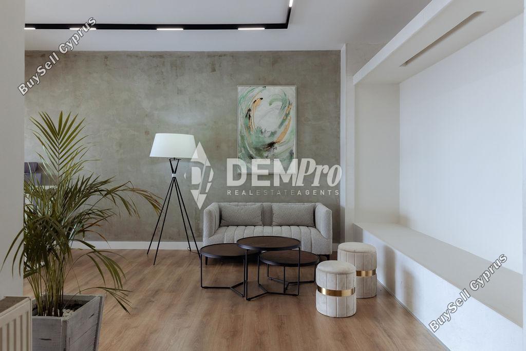 studio office for rent paphos municipality paphos 7812915 image 12700666