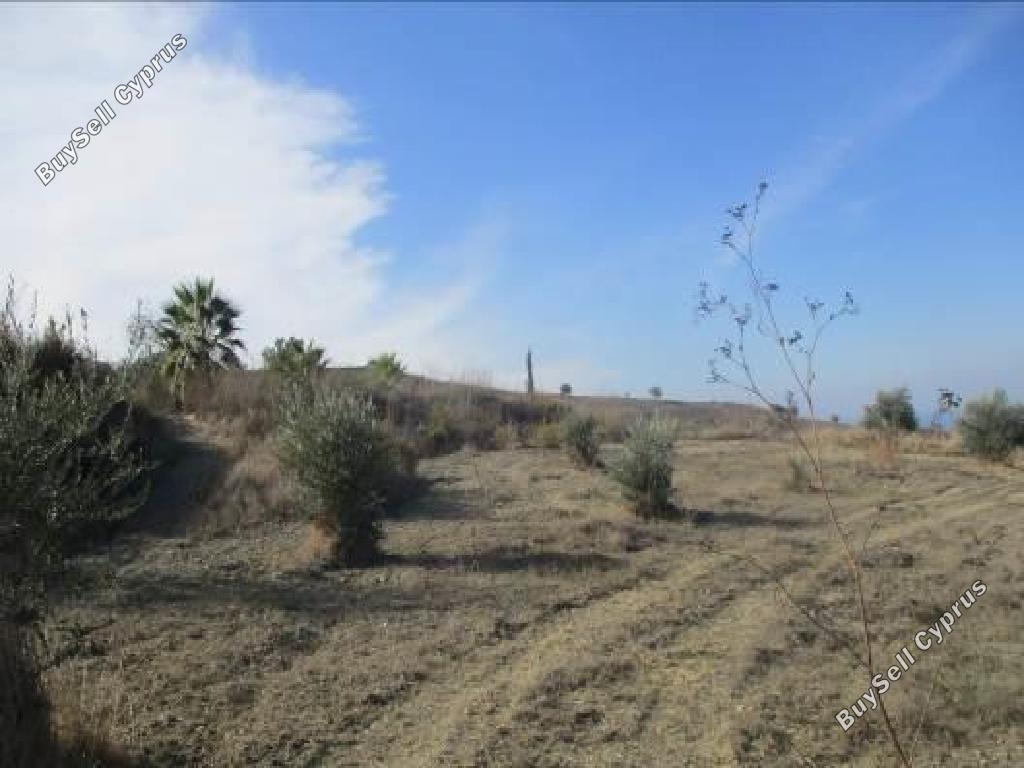 11372 SQM Land for sale in Lasa, Paphos 15599347