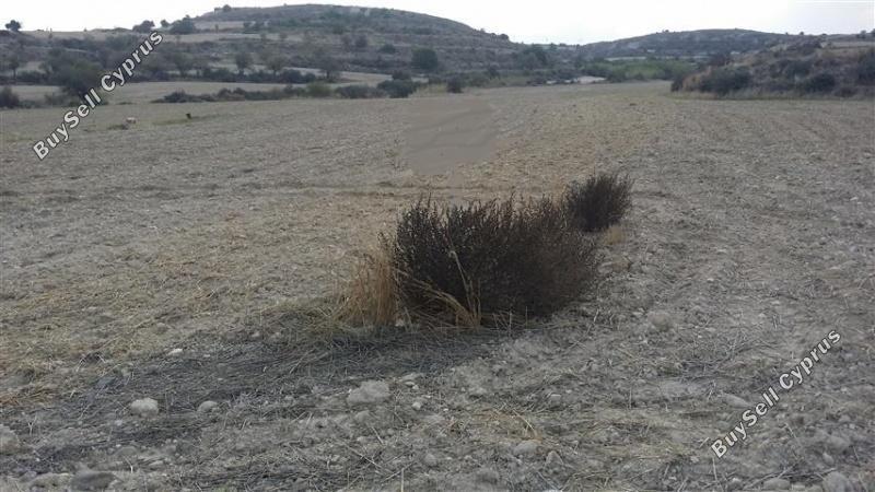 land for sale pera orinis nicosia 1062025 image 16181661