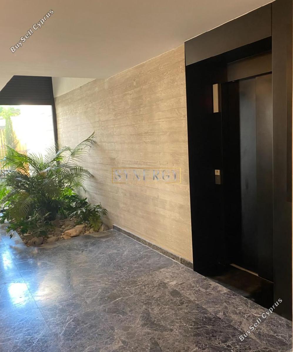 2 bedroom apartment for rent katholiki limassol 8772225 image 16596833