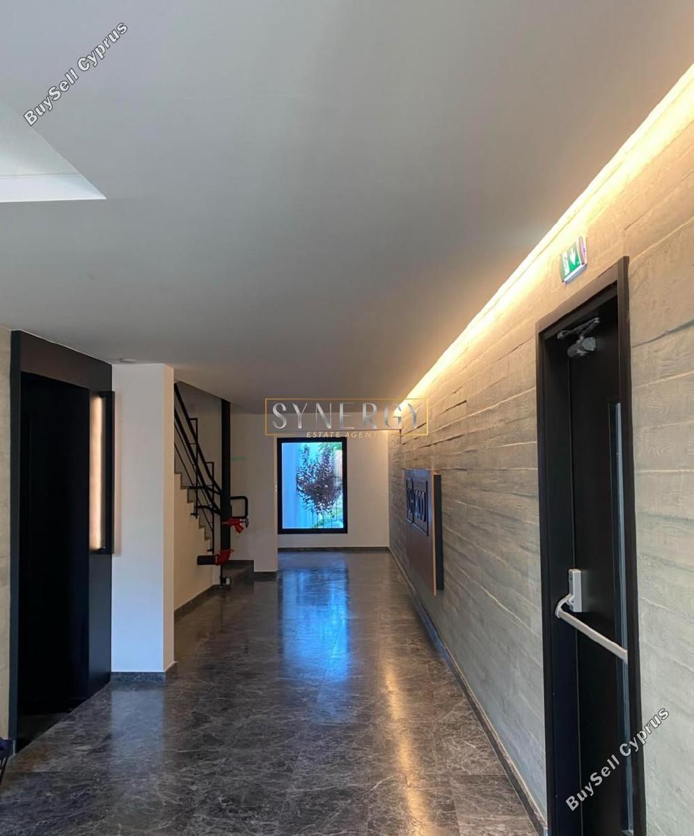 2 bedroom apartment for rent katholiki limassol 8772225 image 16596836