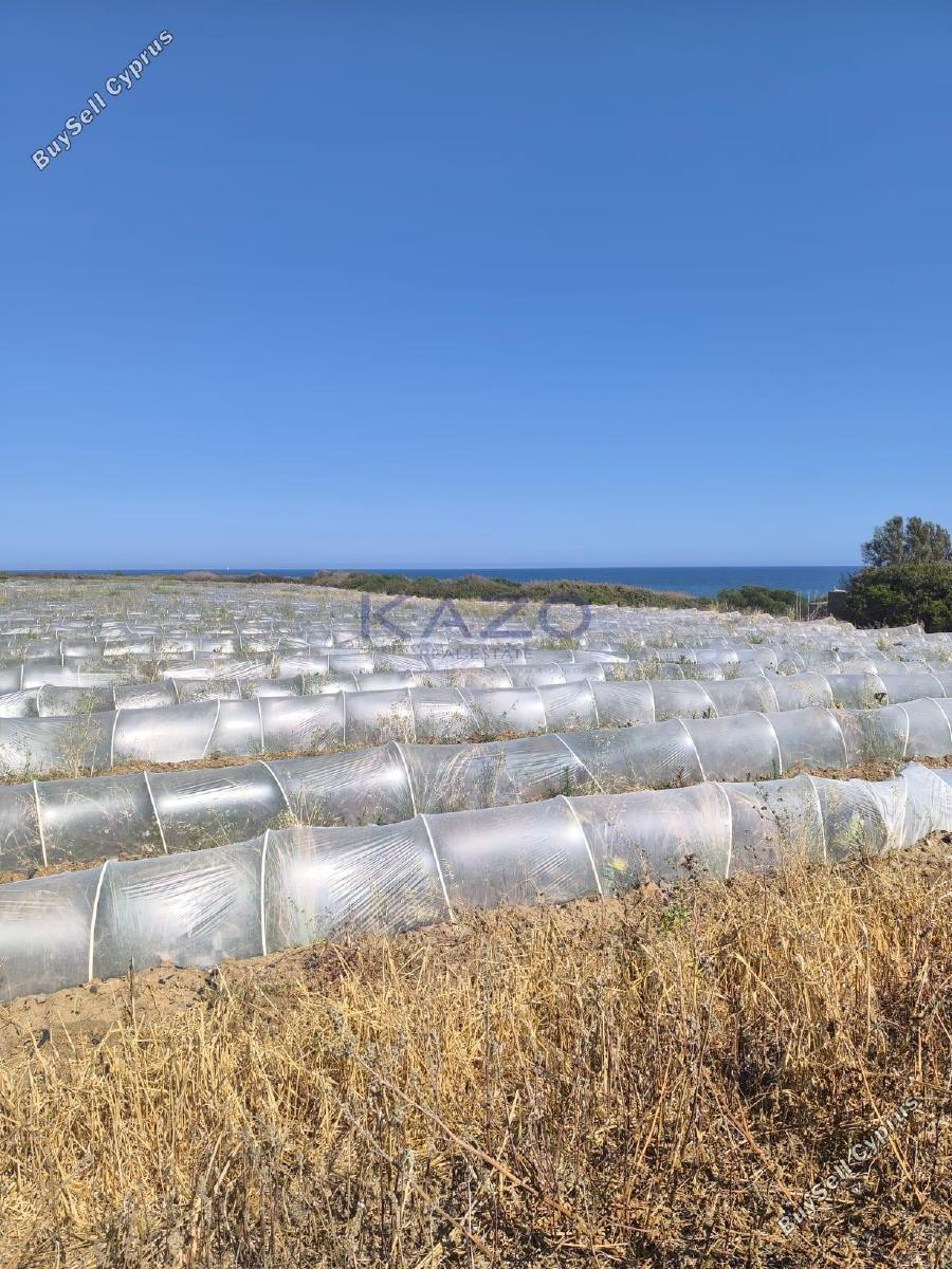land for sale maroni larnaca 7533225 image 9885877
