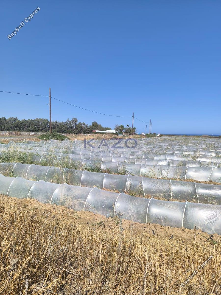 land for sale maroni larnaca 7533225 image 9885880