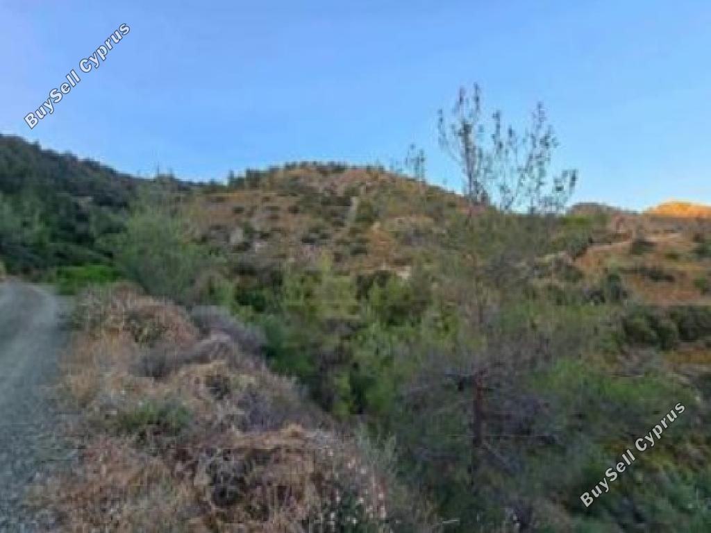 land for sale agioi vavatsinias larnaca 1770325 image 5544023