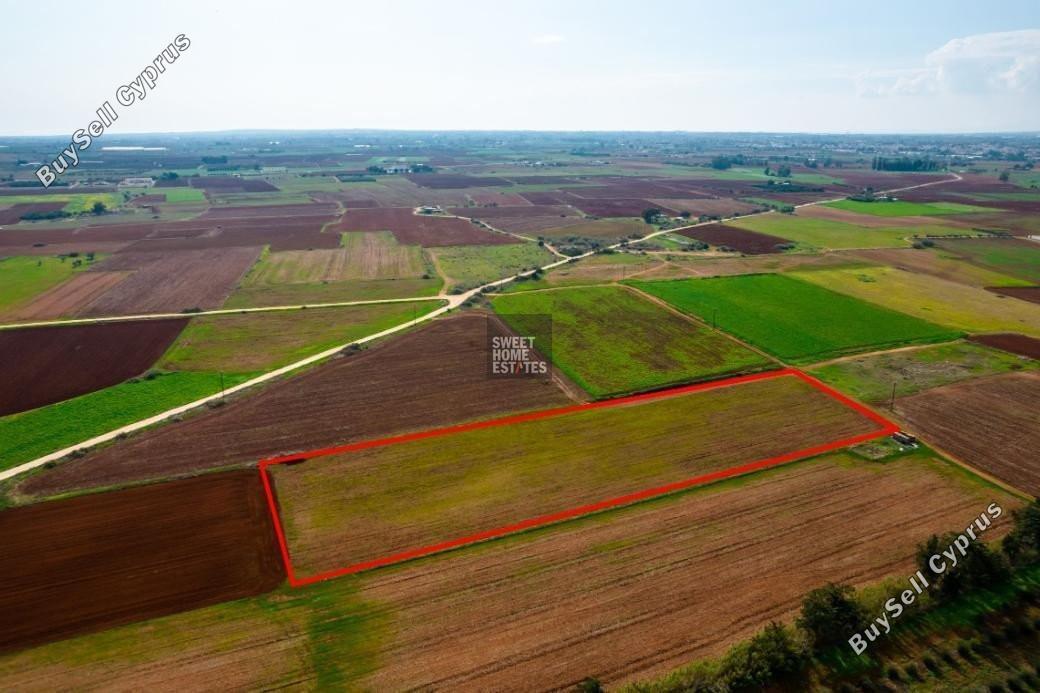 land for sale frenaros famagusta 7966325 image 14708151