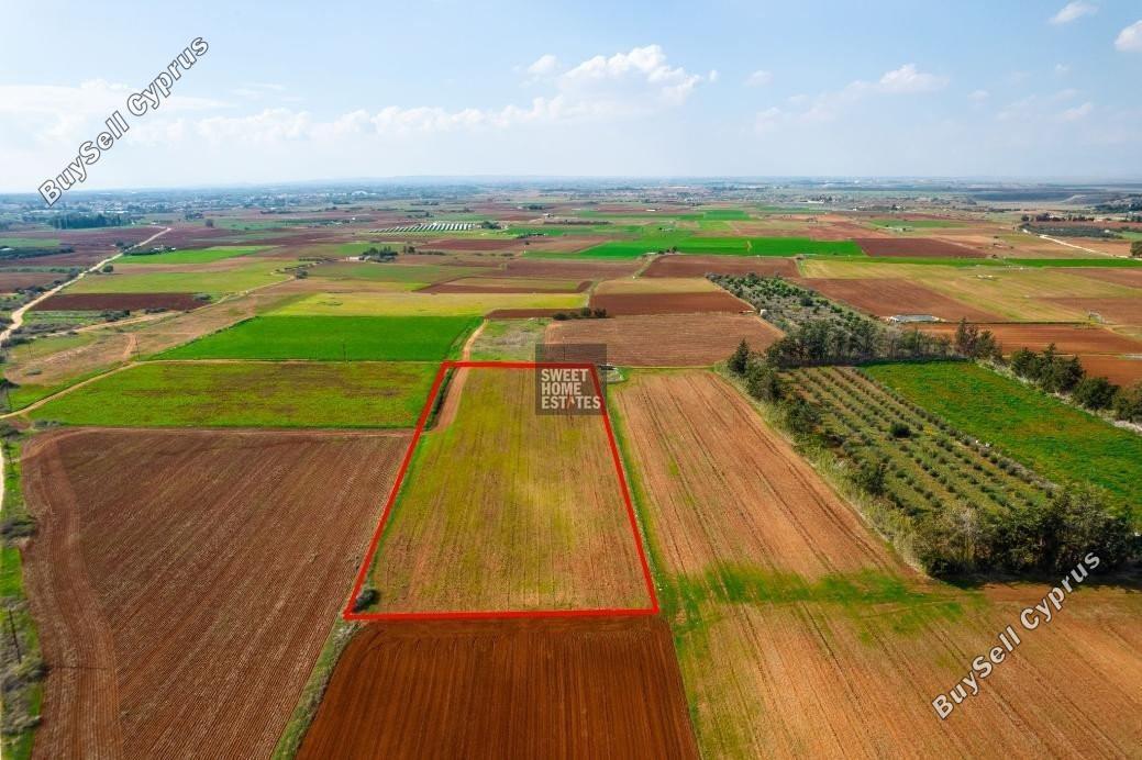 land for sale frenaros famagusta 7966325 image 14708154