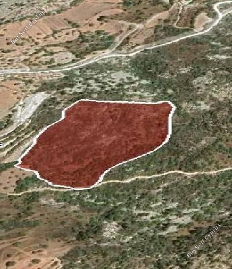 land for sale koili paphos 1355325 image 5629859