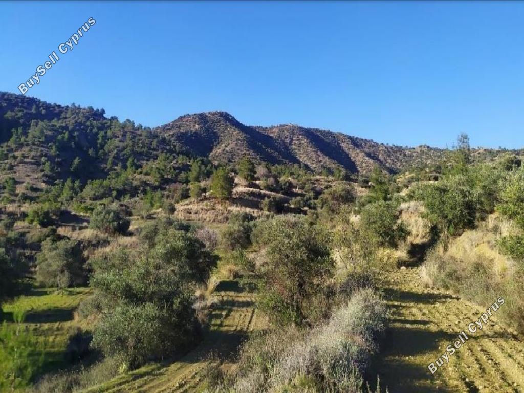 31439 SQM Land for sale in Pano Lefkara, Larnaca 15602183