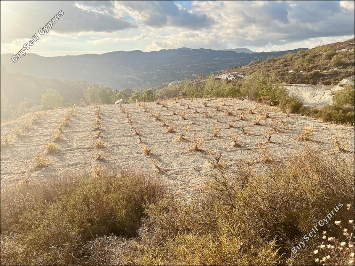 land for sale laneia limassol 8277425 image 13997873