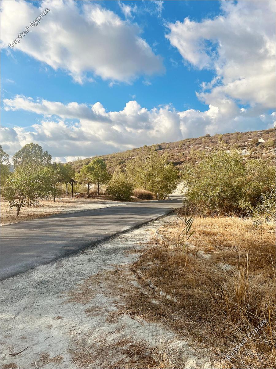 land for sale laneia limassol 8277425 image 13997874