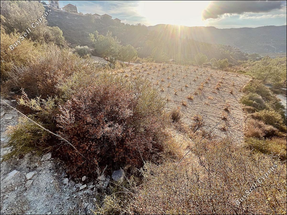 land for sale laneia limassol 8277425 image 13997876