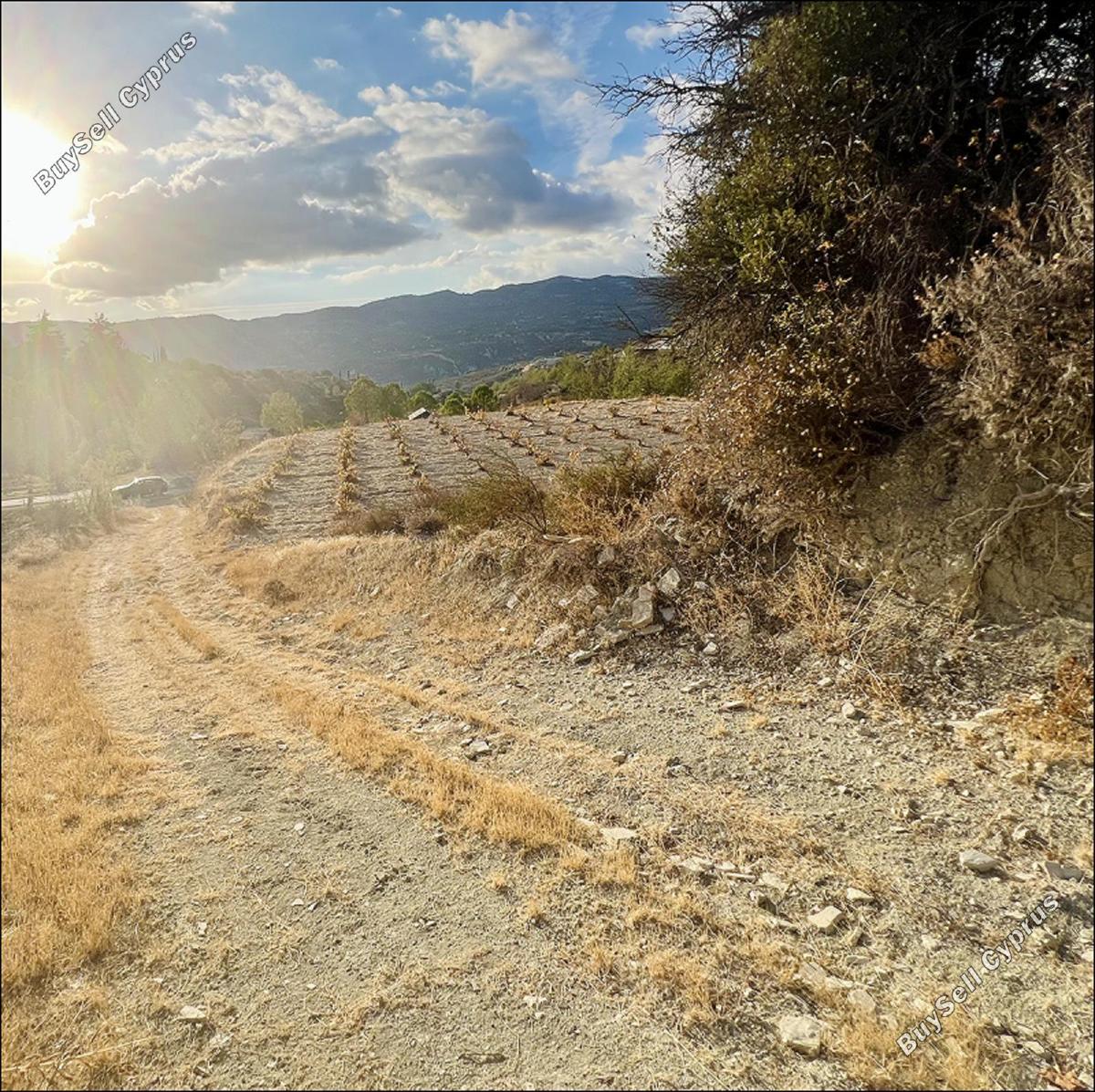 land for sale laneia limassol 8277425 image 13997877