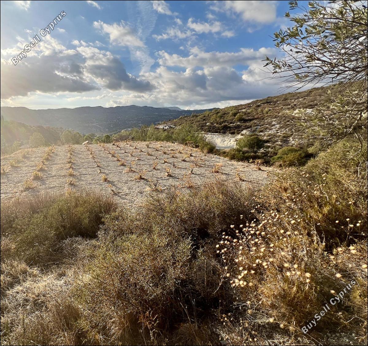 land for sale laneia limassol 8277425 image 13997879