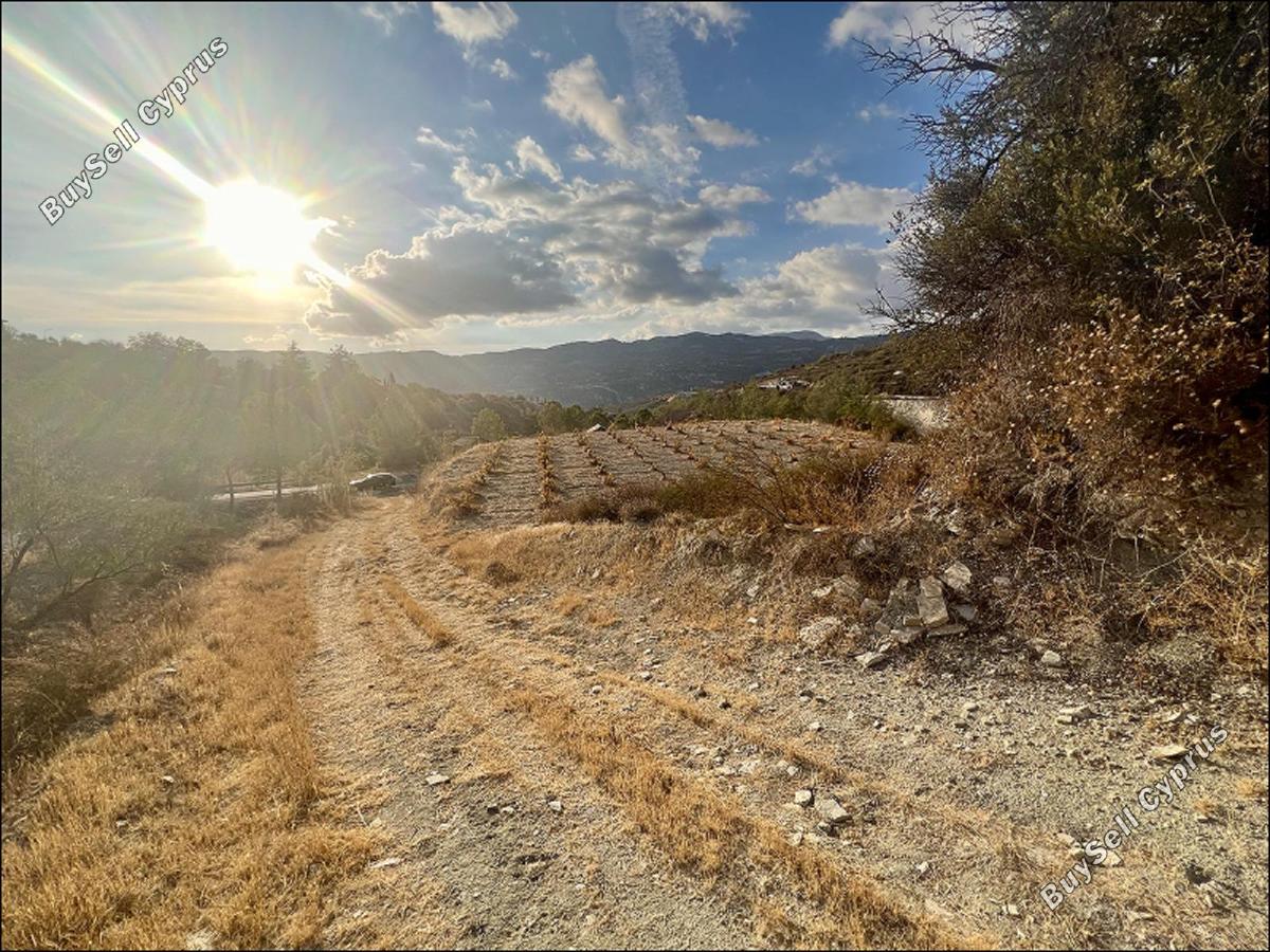land for sale laneia limassol 8277425 image 13997880