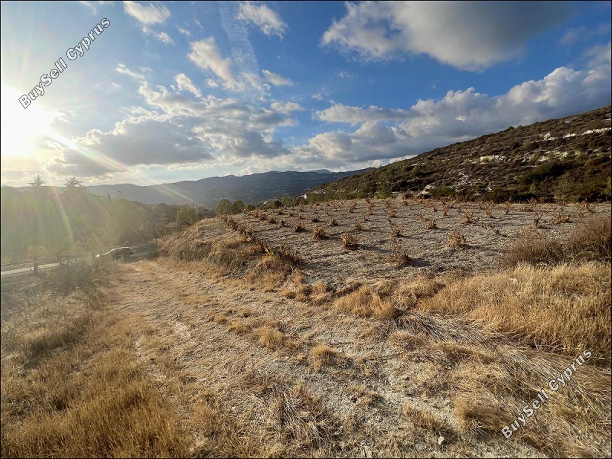 land for sale laneia limassol 8277425 image 13997881
