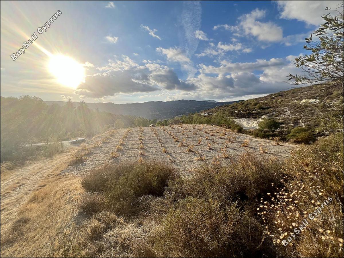 land for sale laneia limassol 8277425 image 13997883
