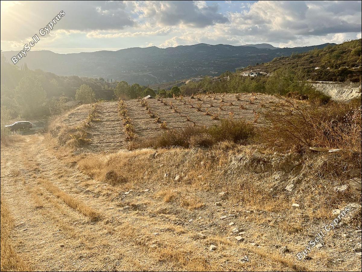 land for sale laneia limassol 8277425 image 13997884