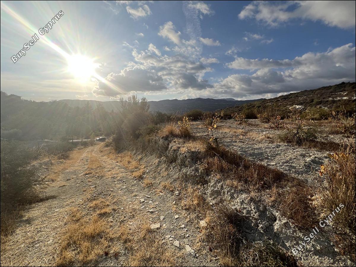 land for sale laneia limassol 8277425 image 13997885