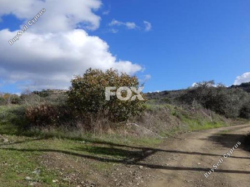 land for sale meladia paphos 1908425 image 14906729