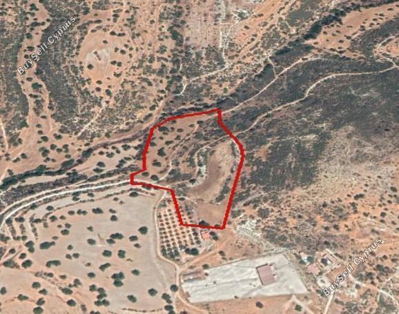 21405 SQM Land for sale in Prastio Avdimou, Limassol 5892885