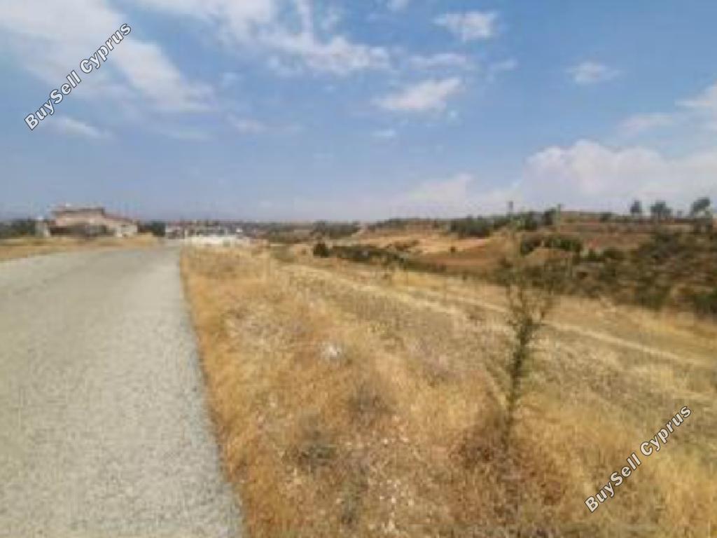 land for sale nikitari nicosia 1041525 image 15601648
