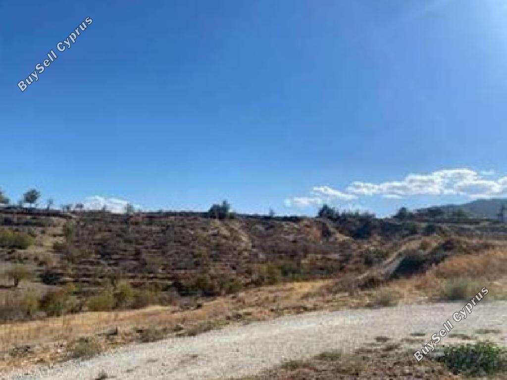 land for sale nikitari nicosia 1041525 image 17227972