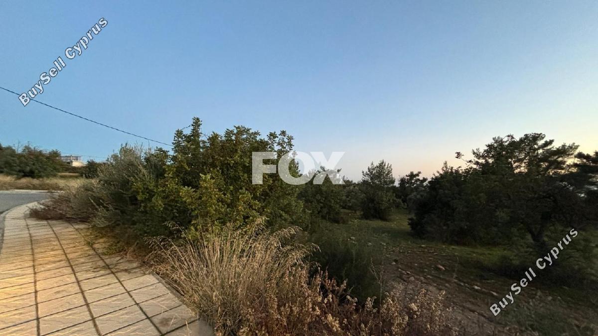 plot for sale anogyra limassol 1239525 image 5579415
