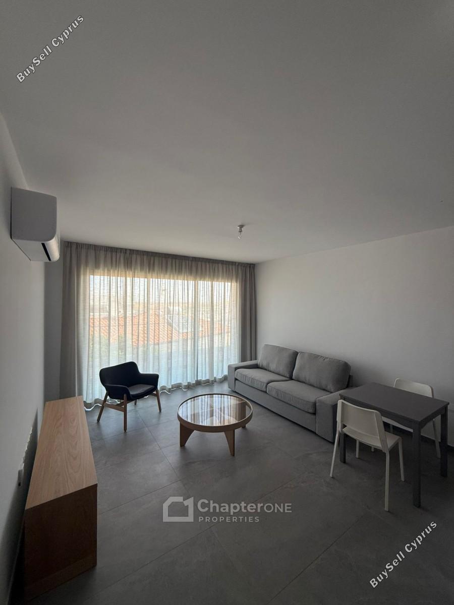 1 bedroom apartment for rent aglantzia nicosia 8765625 image 16564506