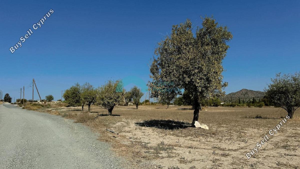 land for sale anglisides larnaca 1479625 image 5457271