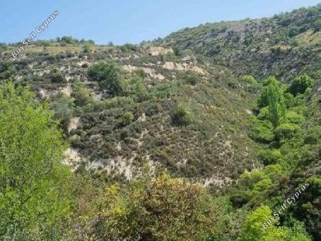 land for sale arsos lemesou limassol 8785625 image 16655809