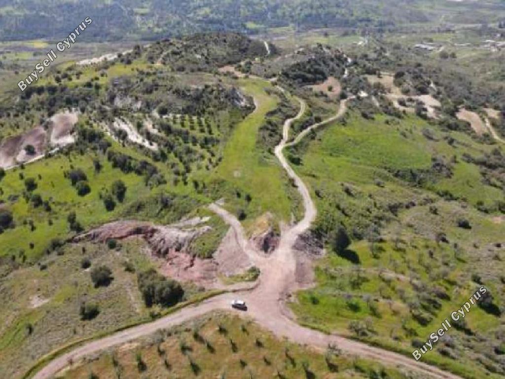 land for sale trahipedoula paphos 8592625 image 15729428