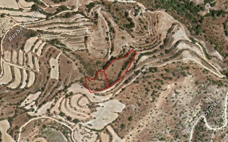 9031 SQM Land for sale in Amargeti, Paphos 15873972