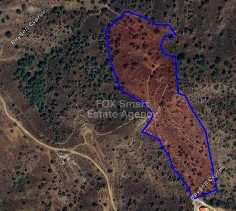 land for sale evrychou nicosia 7799725 image 10573689