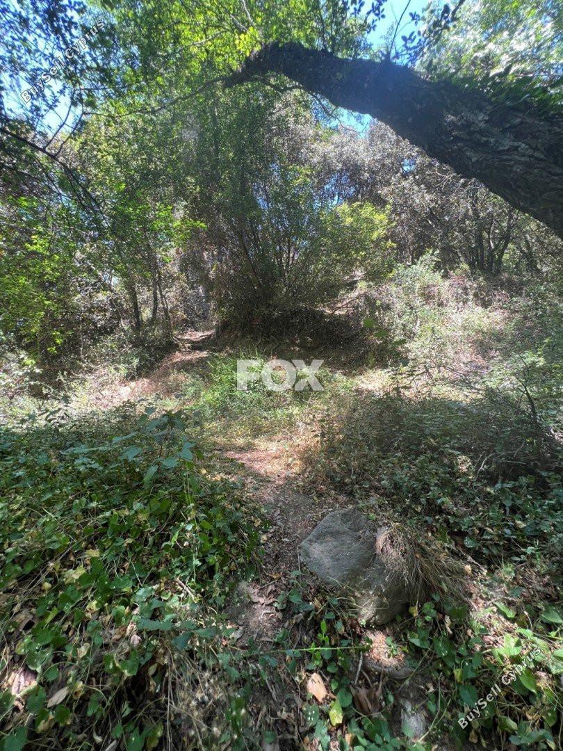 land for sale pano platres limassol 1147825 image 5561809
