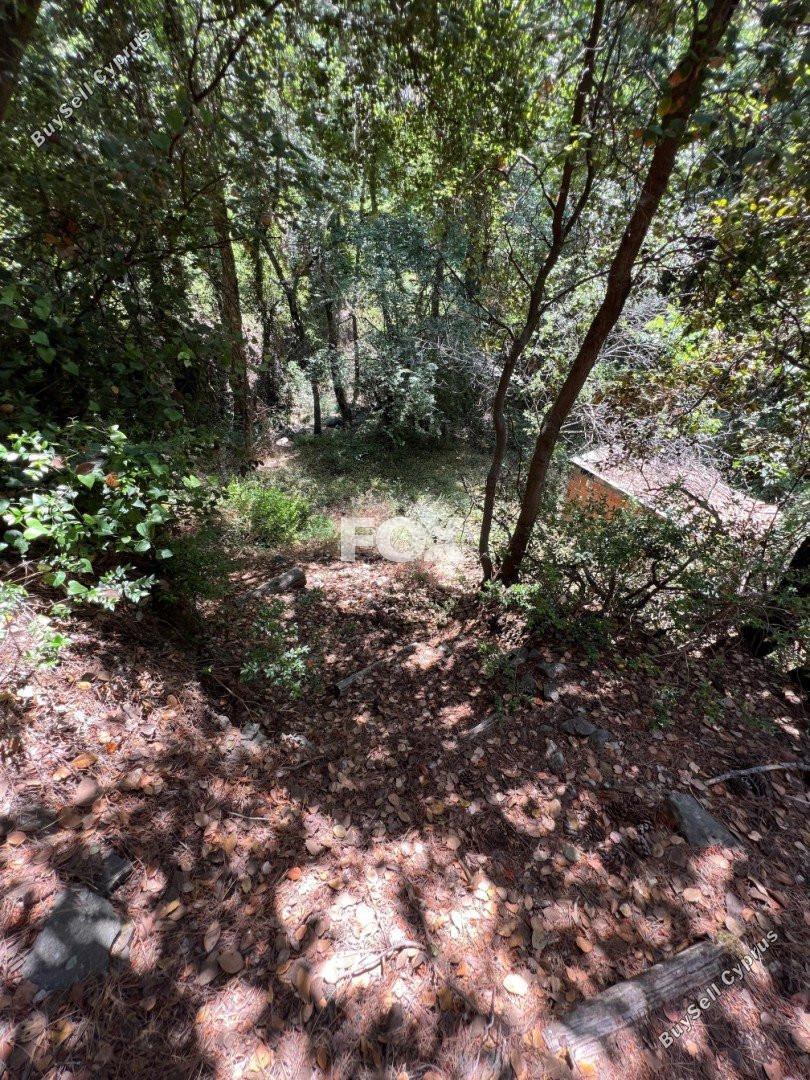 land for sale pano platres limassol 1147825 image 5561819