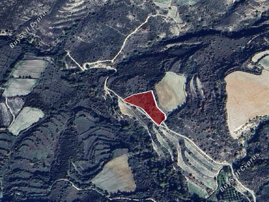 land for sale dora limassol 1657925 image 15597507