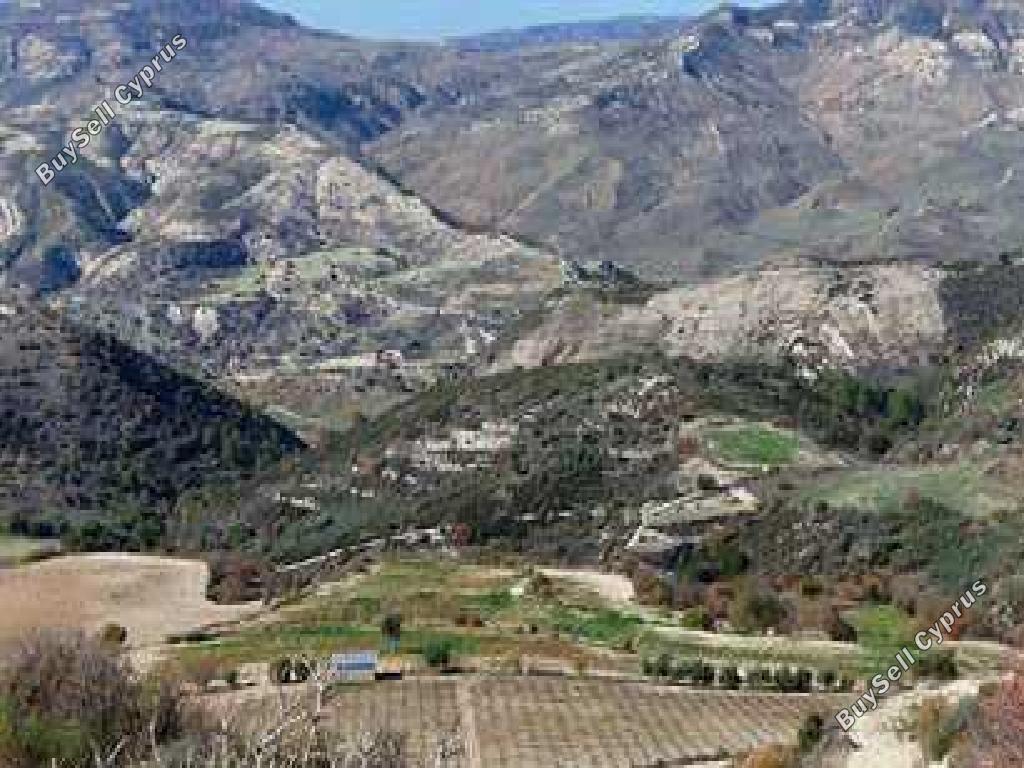 land for sale dora limassol 1657925 image 15597508