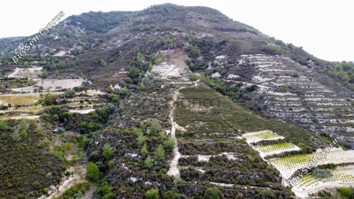 land for sale trimiklini limassol 8748925 image 16469887