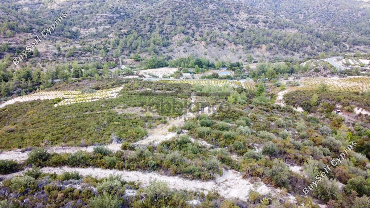 land for sale trimiklini limassol 8748925 image 16469890