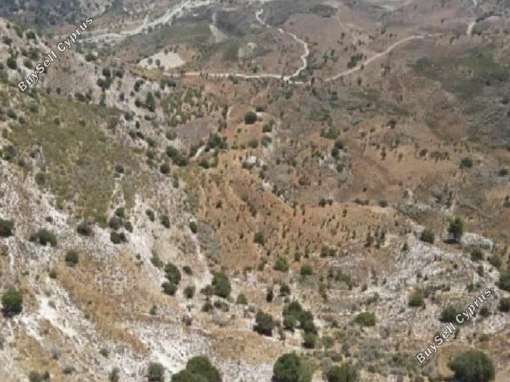 18061 SQM Land for sale in Kedares, Paphos 15598350