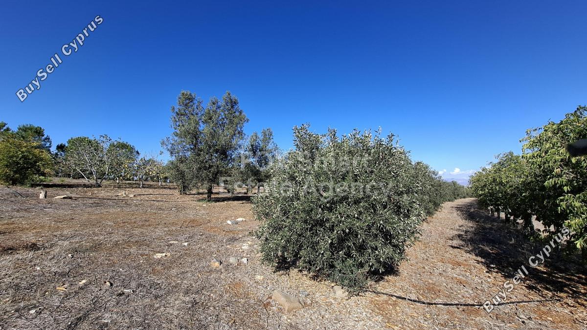 41662 SQM Land for sale in Agios Ioannis Nicosias, Nicosia 7293558