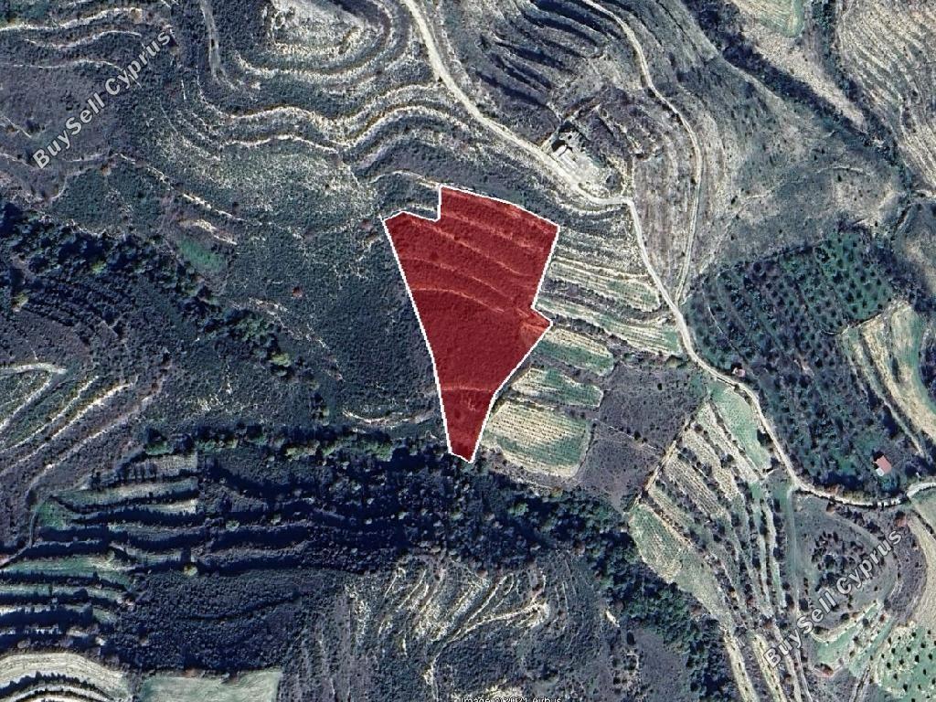 land for sale pachna limassol 8630035 image 16656577