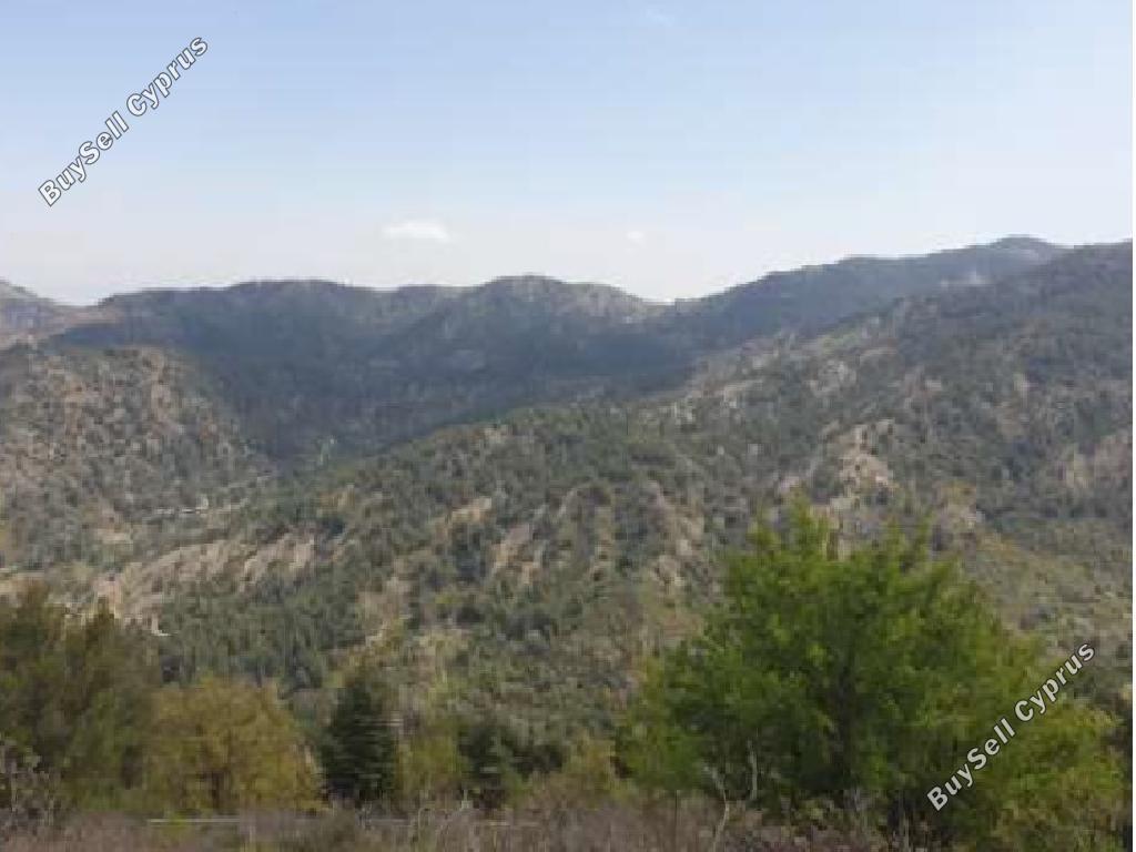 land for sale pedoulas nicosia 1279135 image 3358577